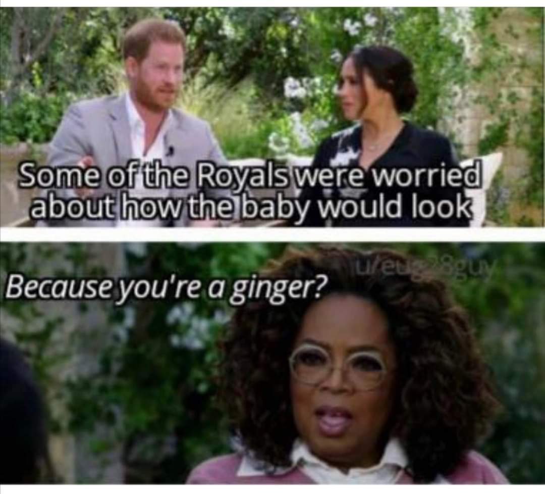 Ginger.jpg